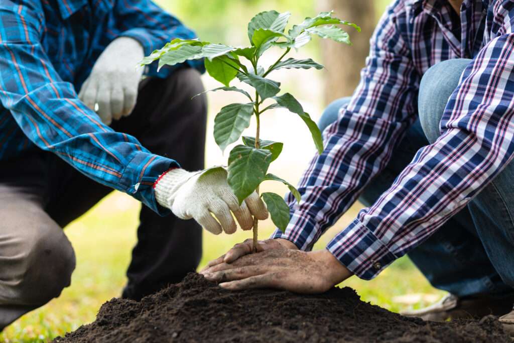 Zusammenarbeit Gartenarbeit